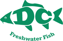 dcfreshwaterfish.co.uk